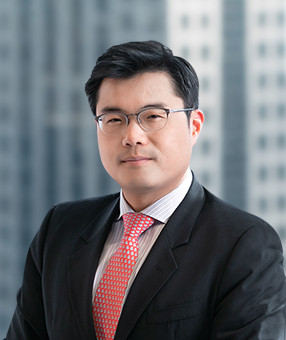 Daewoong LEE Foreign Attorney