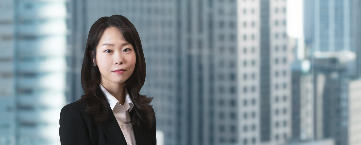 Soo Ahn LEE Attorney