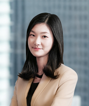 Ari Yoon Attorney